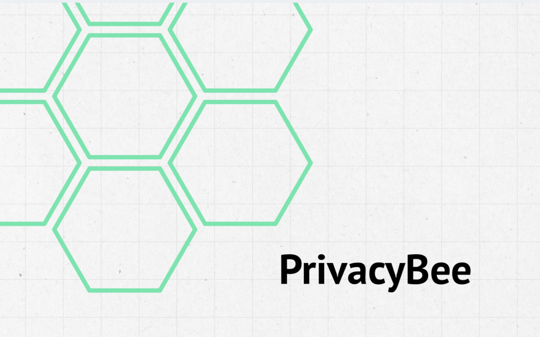 eRecht24 Alternative: PrivacyBee im ehrlichen Praxis-Check
